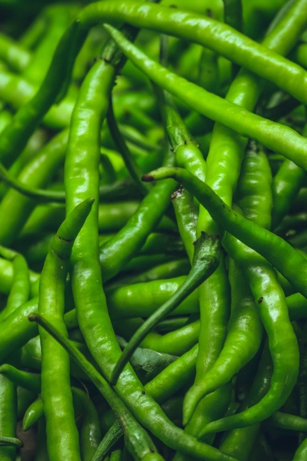Green Fresh Chilli G4