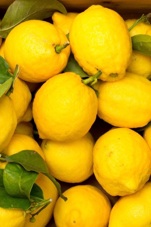 Fresh Indian Lemon