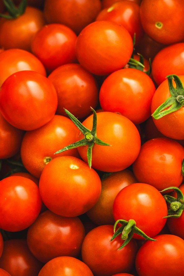 Premium Tomato